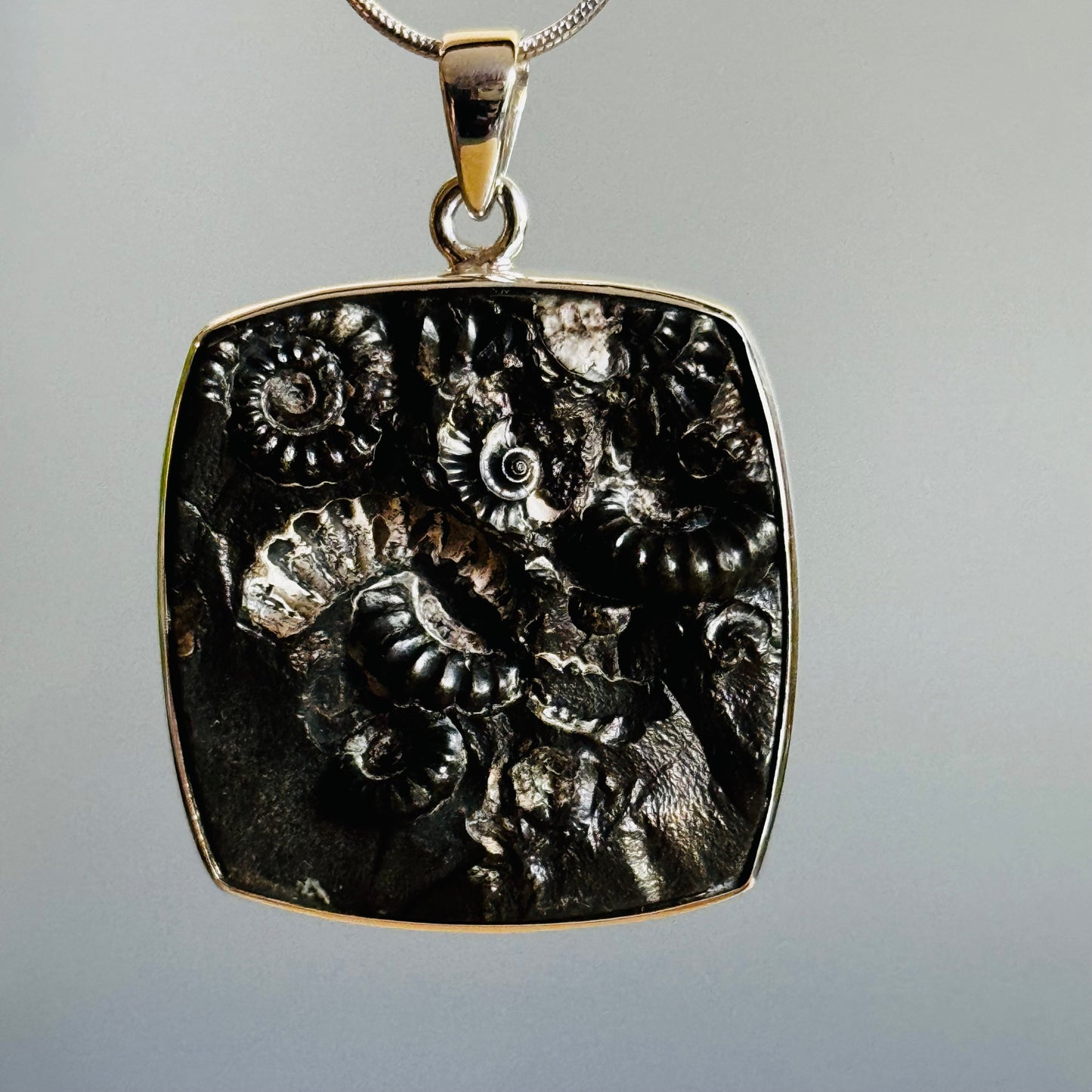 Ammonite Fossil Pendant Natural Fossil