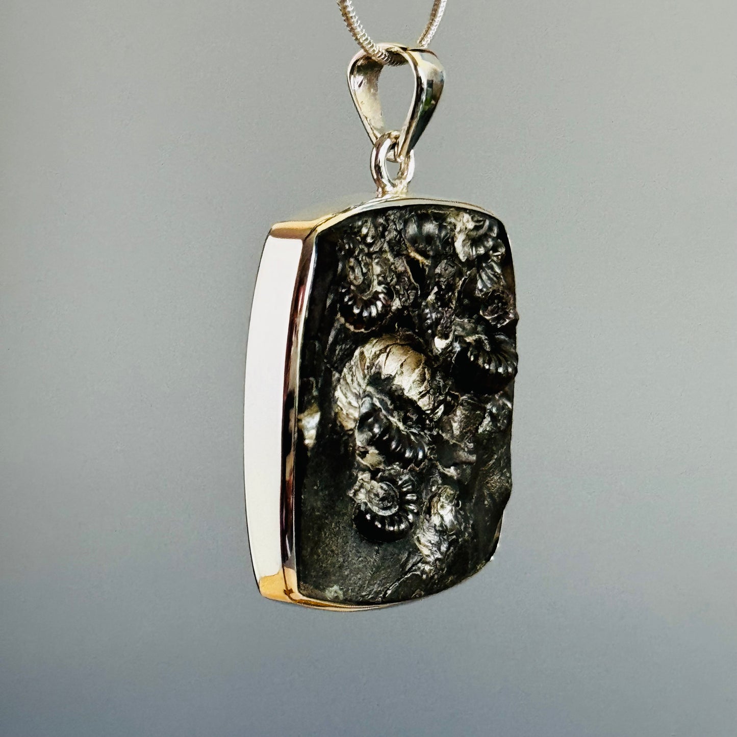 Ammonite Fossil Pendant Natural Fossil