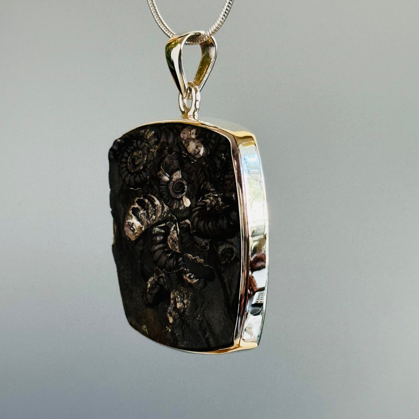 Ammonite Fossil Pendant Natural Fossil