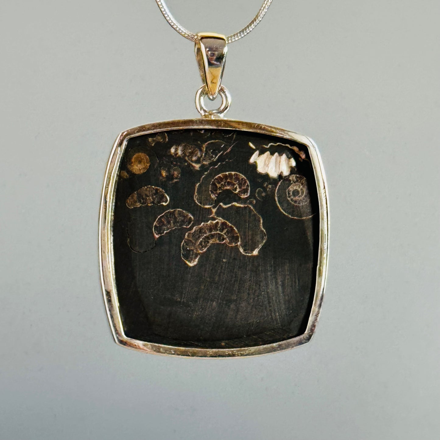 Ammonite Fossil Pendant Natural Fossil