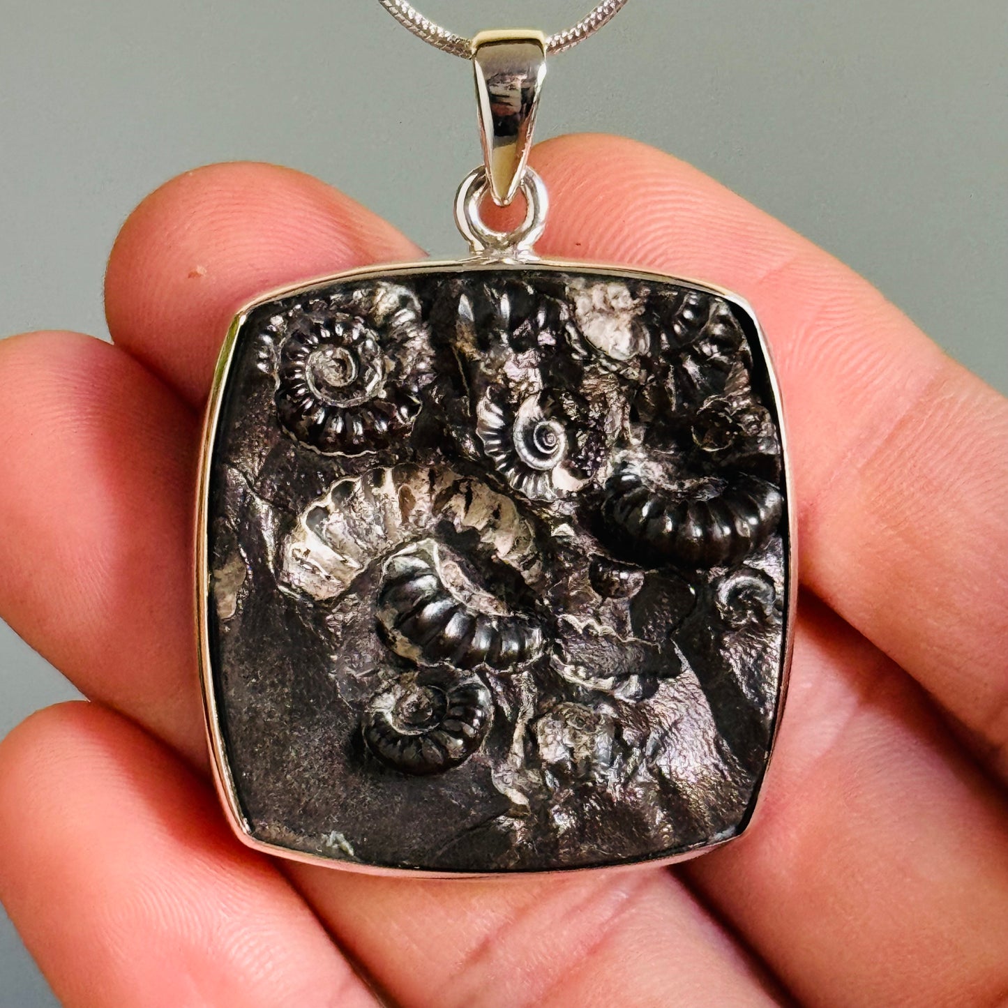 Ammonite Fossil Pendant Natural Fossil