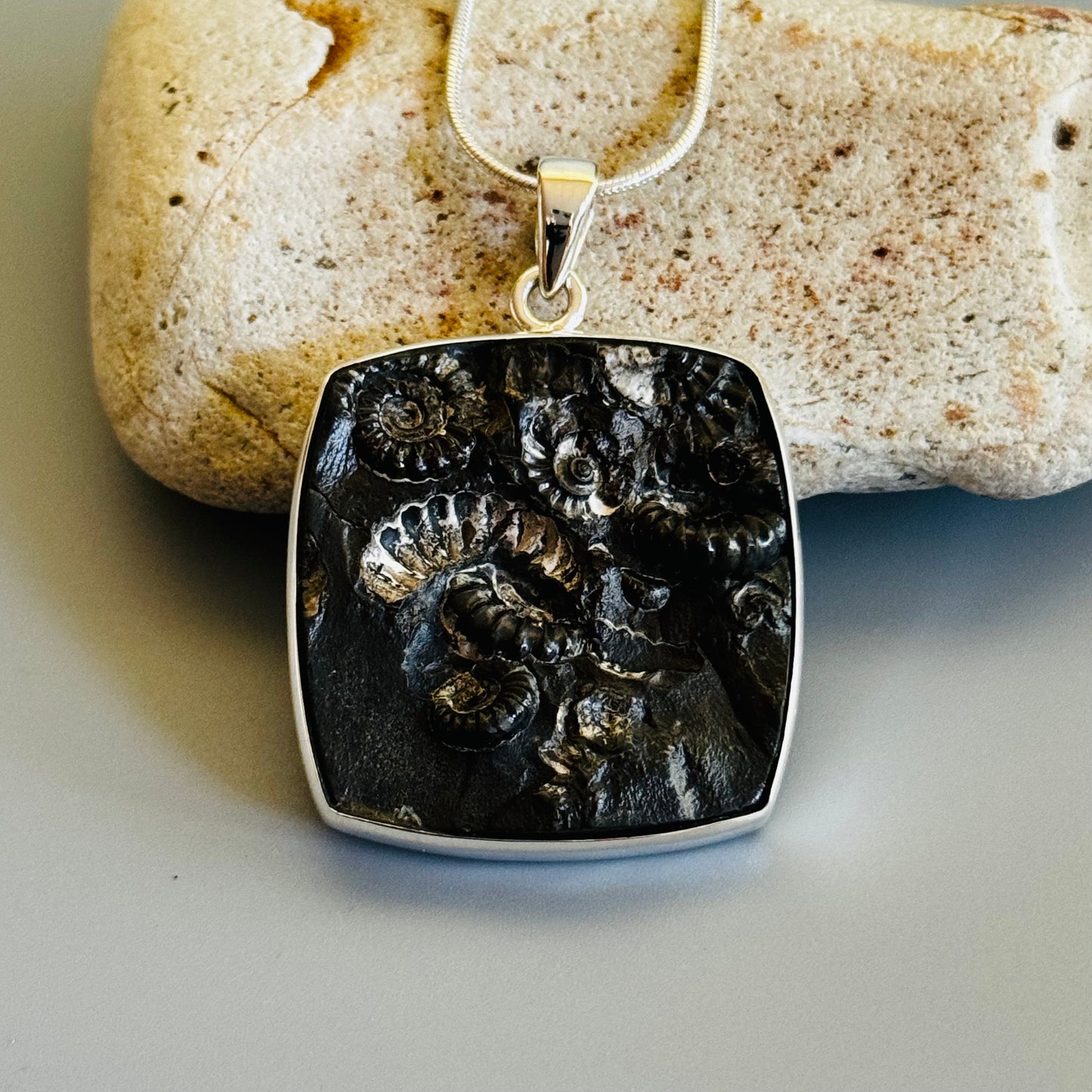 Ammonite Fossil Pendant Natural Fossil