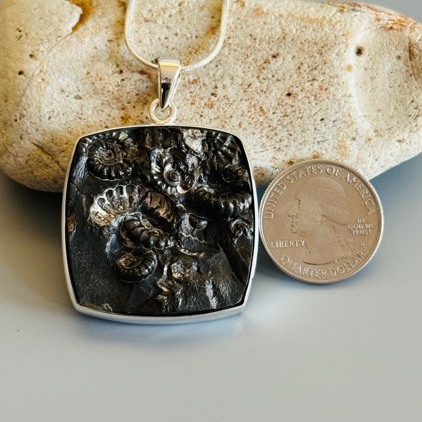 Ammonite Fossil Pendant Natural Fossil