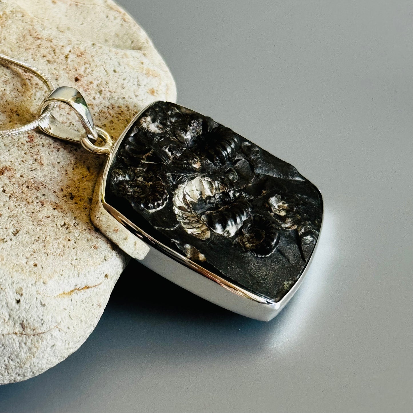 Ammonite Fossil Pendant Natural Fossil