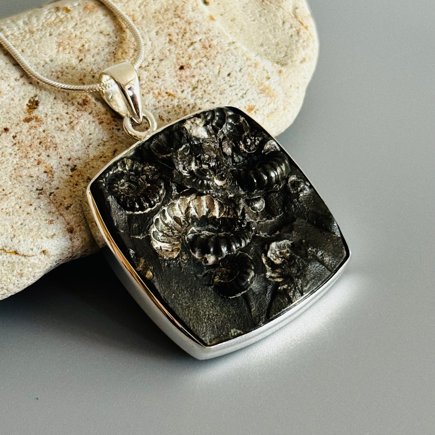 Ammonite Fossil Pendant Natural Fossil
