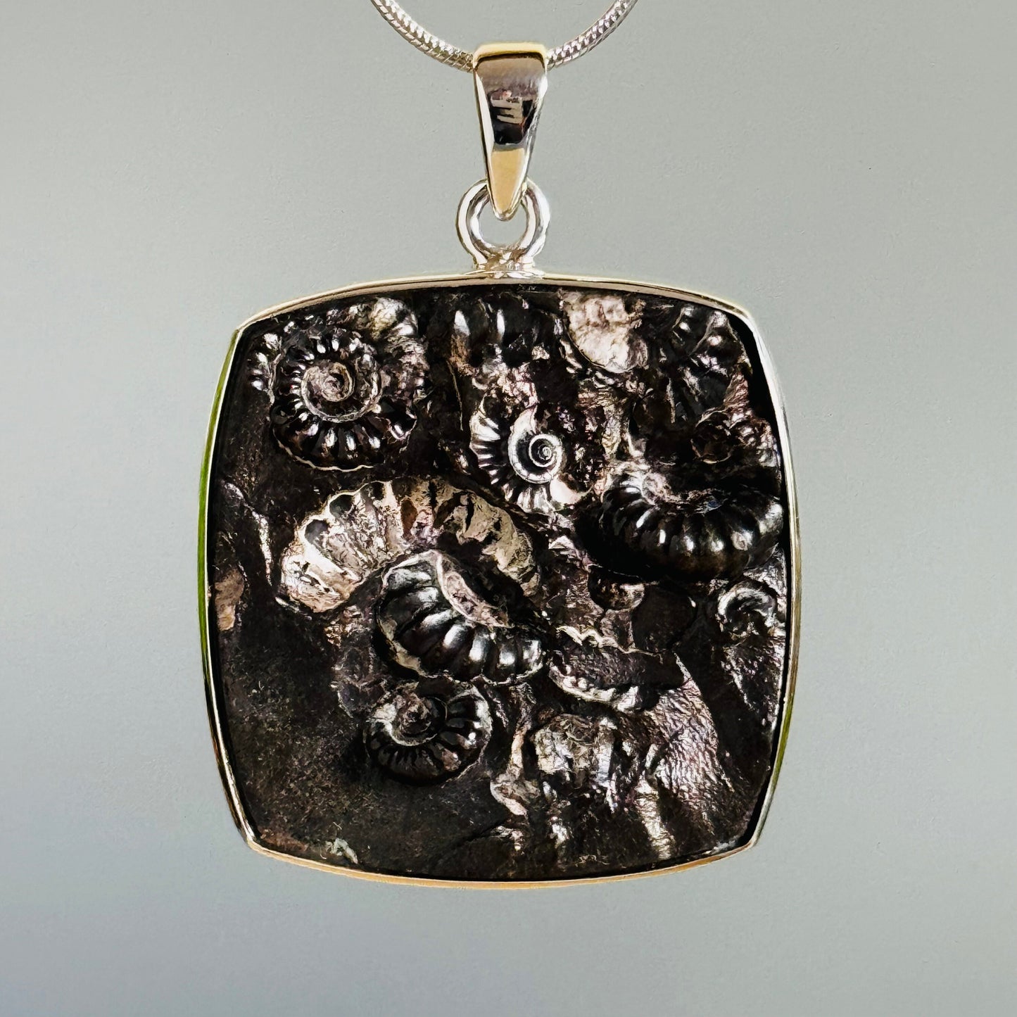 Ammonite Fossil Pendant Natural Fossil