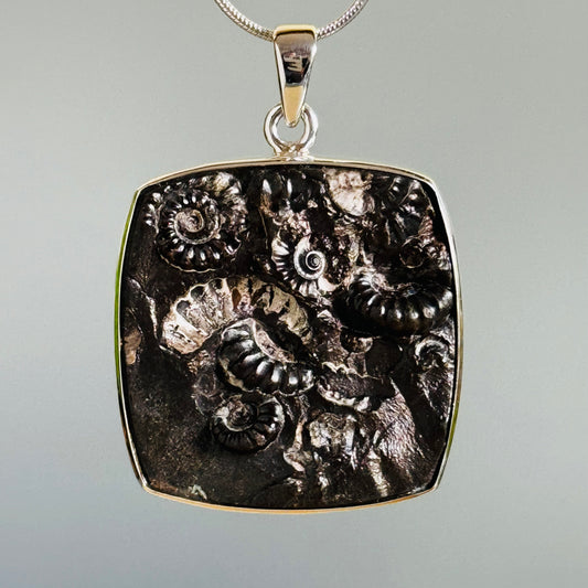 Ammonite Fossil Pendant Natural Fossil